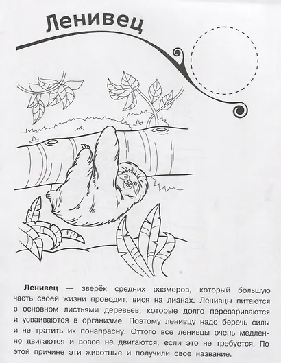 Кто живет в джунглях? Раскраска + большие наклейки внутри - фото 2