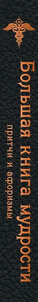Большая книга мудрости (черная) - фото 5