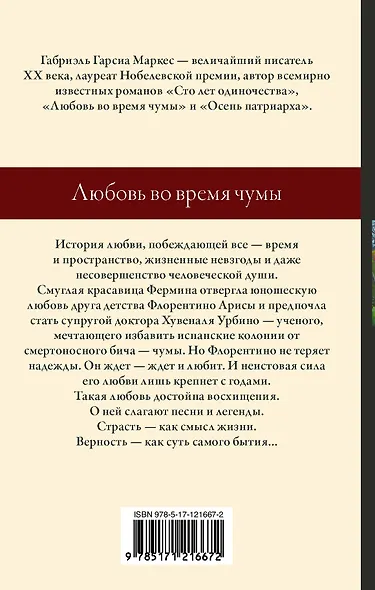 Любовь во время чумы - фото 2