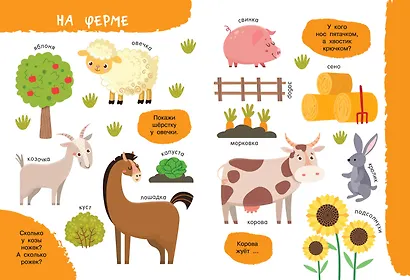 Моя первая книга о животных - фото 4