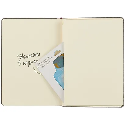 Книга для записей в линейку «Dreaming», розовый, B6, 80 листов + 48 наклеек - фото 4