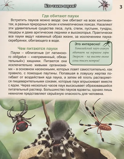 Пауки: энциклопедия - фото 6