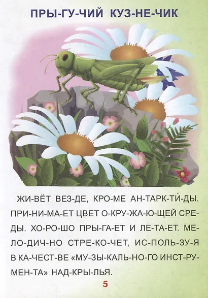 Читаем по слогам. Крупные буквы. Читалочки-познавалочки. Рассказы: слоговой тренажер - фото 5