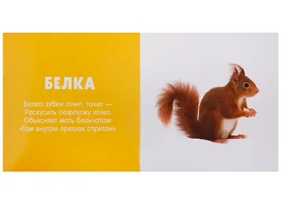 Первые слова. Любимые животные. Фотокнига со стихами - фото 2