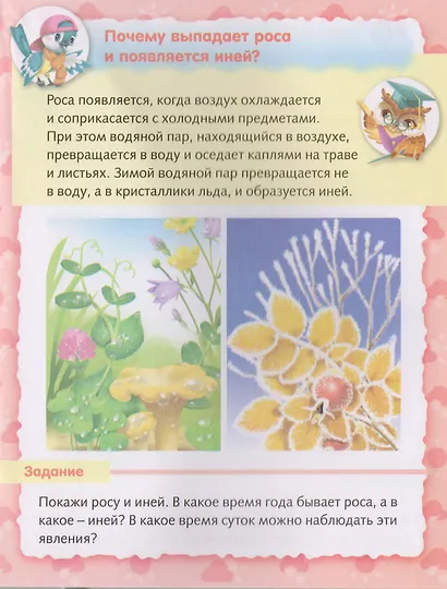О погоде - фото 4