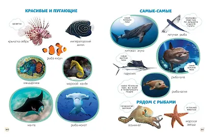 Главная книга малыша. Фотоэнциклопедия - фото 8