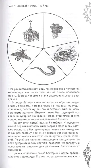 Растительный и животный мир. Сотрудничество и взаимопомощь - фото 4