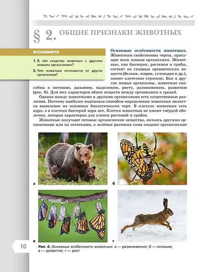 Биология. 8 класс. Учебник. Базовый уровень - фото 8
