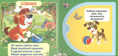 Домашние животные. - фото 3
