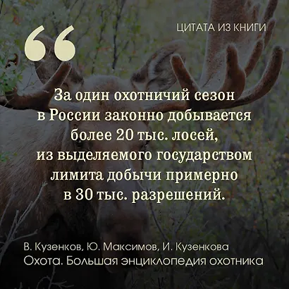 Охота. Большая энциклопедия. 17 диких зверей - фото 4
