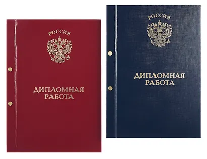 Обложка "Дипломный проект" ассорти, 2 отверстия, бумвинил - фото 1