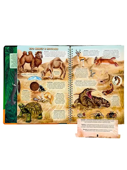 Атлас Земли. Животные. Интерактивная книга - фото 6