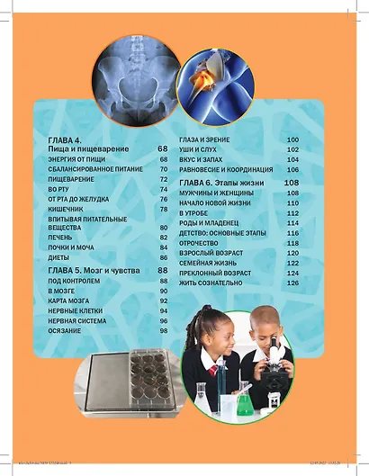 Тело человека - фото 11