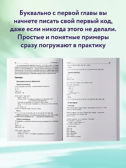 Python для непрограммистов. Самоучитель в примерах - фото 6