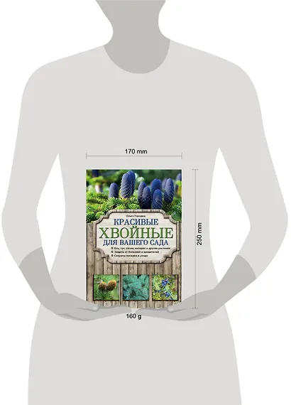 Красивые хвойные для вашего сада - фото 4