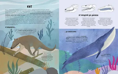 Эволюция. Как изменилась жизнь за миллиарды лет - фото 4
