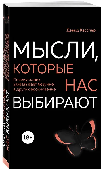 Мысли, которые нас выбирают. Почему одних захватывает безумие, а других вдохновение - фото 3