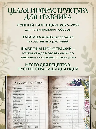 Практическая книга травницы. Сбор, заготовка и ритуалы с лекарственными растениями (Bruk.Herbs) - фото 6