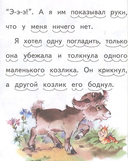 Про козочек. Что я видел? - фото 3