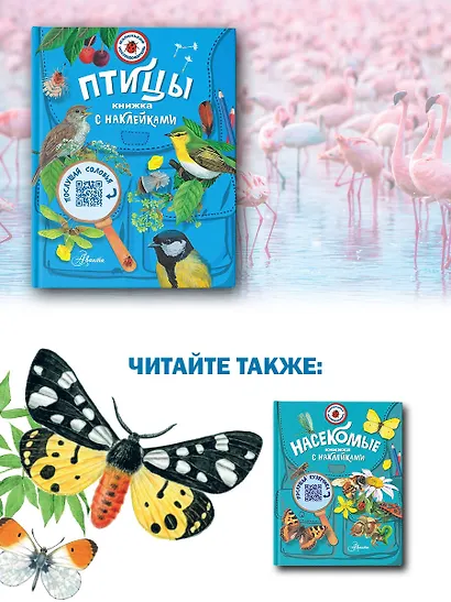 Птицы - фото 8