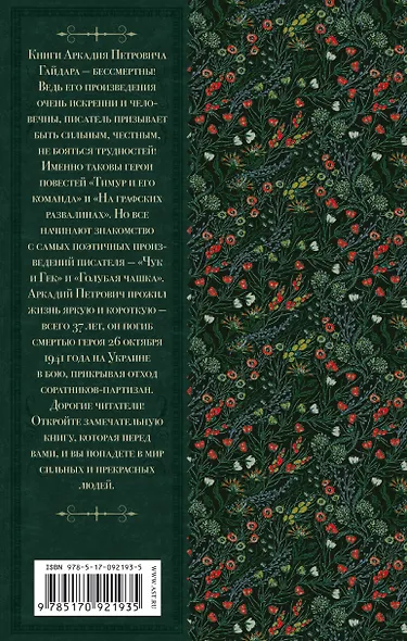 Тимур и его команда: повести и рассказы - фото 2
