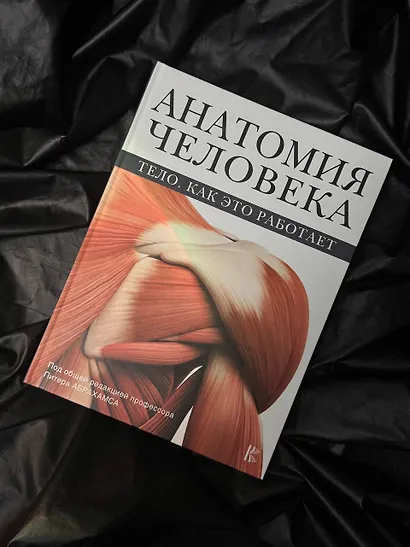 Анатомия человека - фото 4