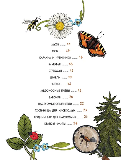 Насекомые - фото 9