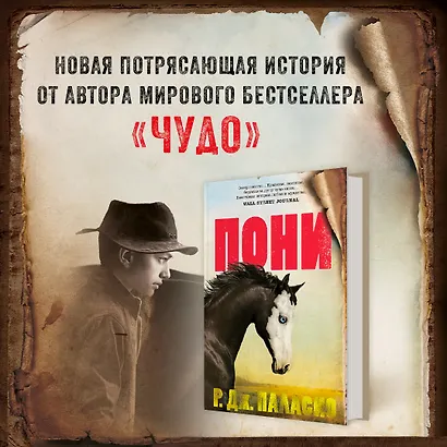 Пони - фото 10