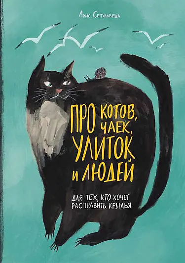 Про котов, чаек, улиток и людей - фото 1