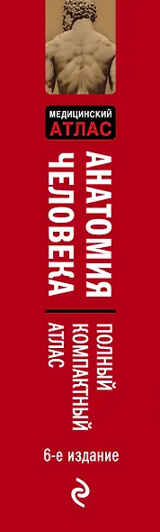 Анатомия человека: полный компактный атлас. 6-е издание - фото 8