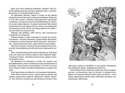 Чудесное путешествие Нильса с дикими гусями - фото 14
