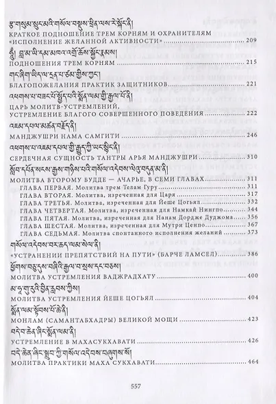 Сборник текстов для практики Дхармы (на тибетском и русском языках) - фото 5