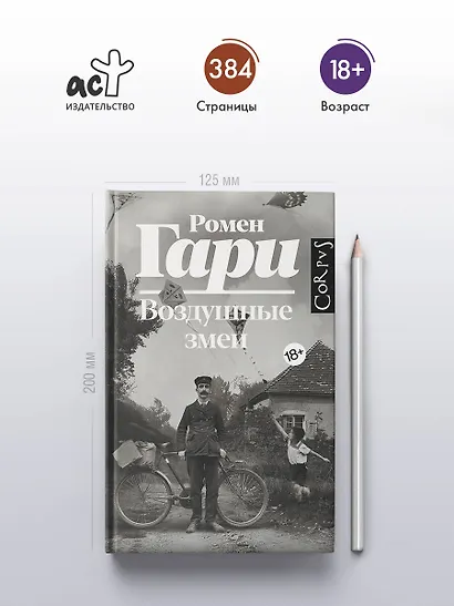 Воздушные змеи - фото 4