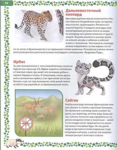 Большая книга о животных. Иллюстрированная энциклопедия - фото 3