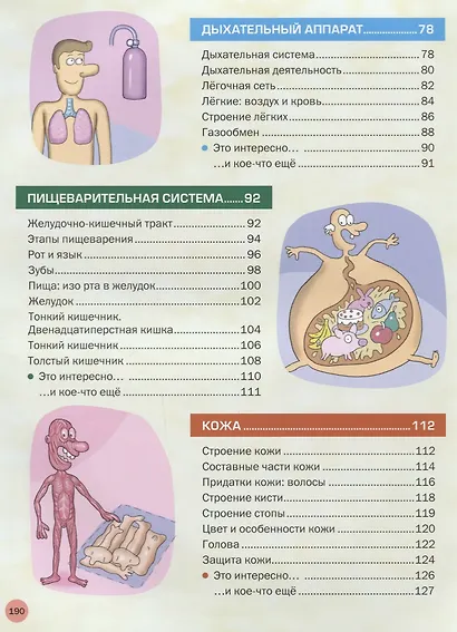 Большая иллюстрированная энциклопедия. Все о теле человека - фото 4