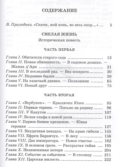 Смелая жизнь : историческая повесть - фото 2