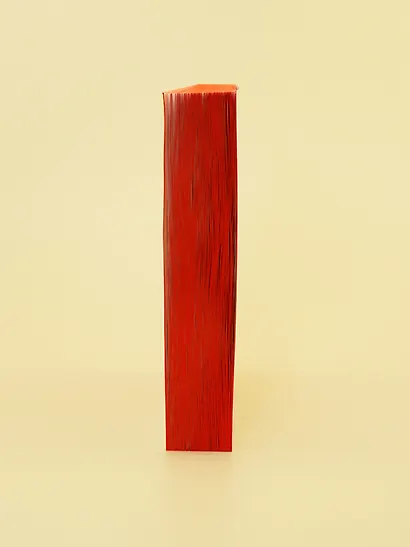 Рожденная пламенем - фото 13