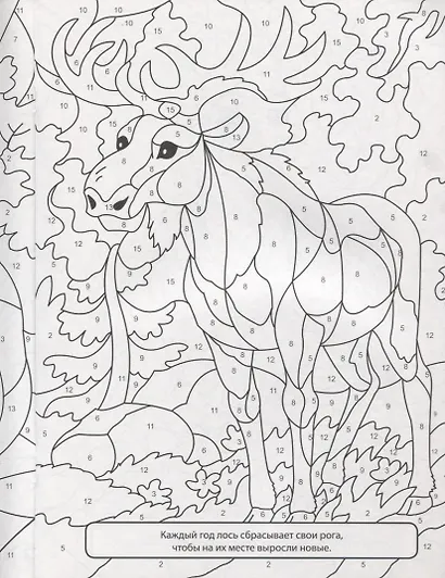 РАСКРАСКА ПО НОМЕРАМ. ВЕСЁЛЫЙ ЗООПАРК - фото 5