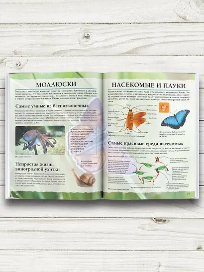 Живой мир - фото 6