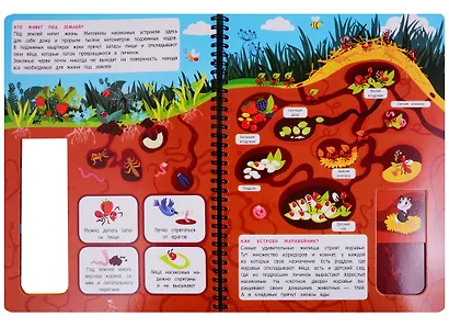 Что там под землей? Книжка на пружине - фото 3