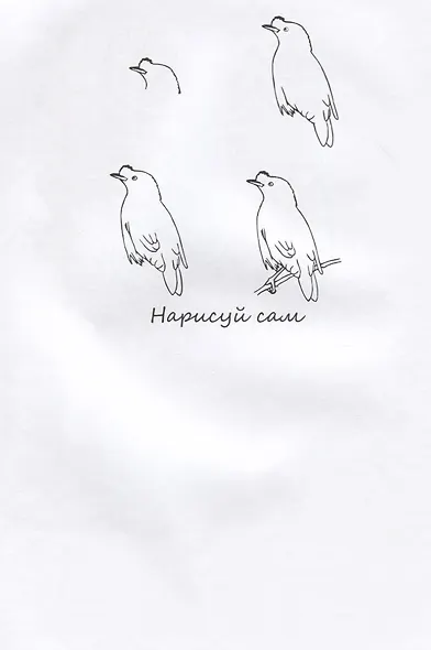 Птицы НС-5-4 - фото 5