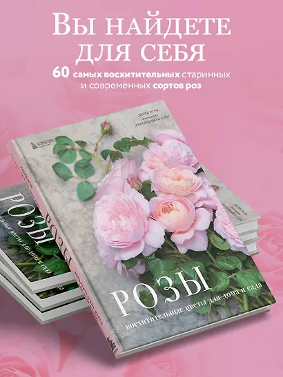 Розы. Восхитительные цветы для дома и сада - фото 6