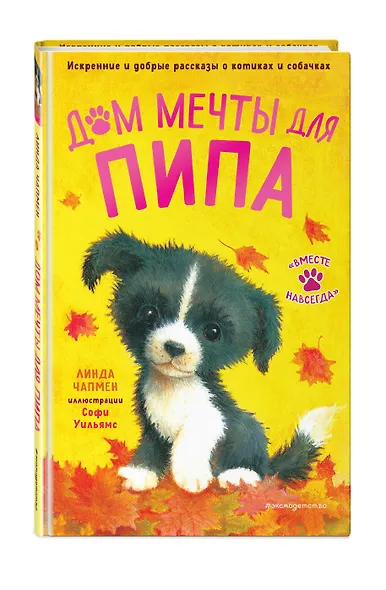 Дом мечты для Пипа (выпуск 2) - фото 3