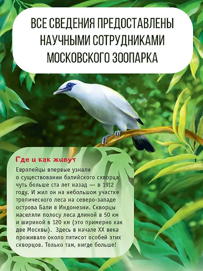 Красная книга планеты для детей. Редкие и исчезающие виды дикой природы - фото 5