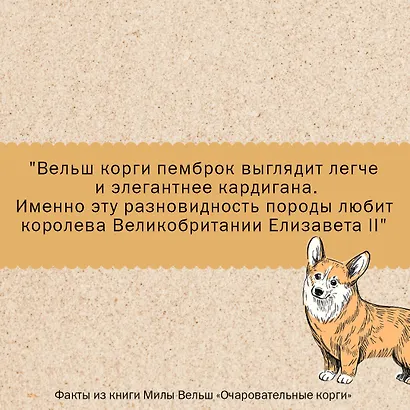 Очаровательные корги: походка, которая вдохновляет! - фото 4