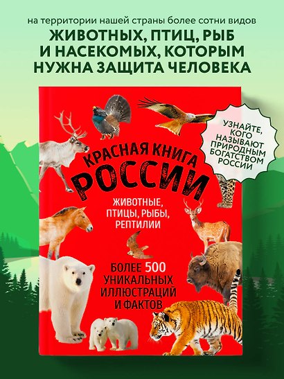 Красная книга России. Большой формат. Более 500 уникальных иллюстраций и фактов (новое издание) (основной) - фото 4