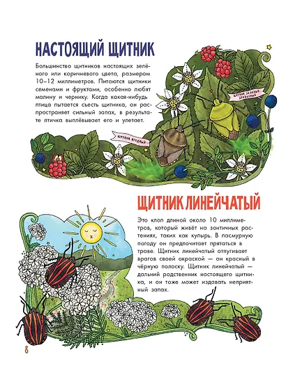 Насекомые - фото 11