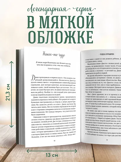 Куриный бульон для души. 101 добрая история о сострадании и хороших поступках - фото 5