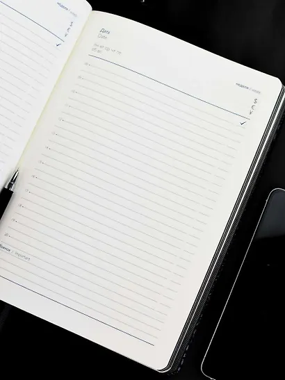Ежедневник недат. А5+ 160л 175*245 "Аллигатор" черный, кожзам, тв.переплет, обл.поролон, блинтовое тиснение, офсет, ляссе, подар.упаковка - фото 13