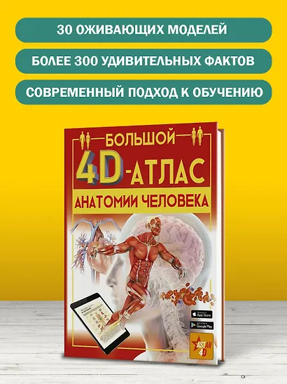 Большой 4D-атлас анатомии человека - фото 7